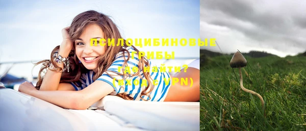 хмурый Алексин