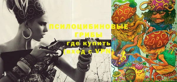 хмурый Алексин