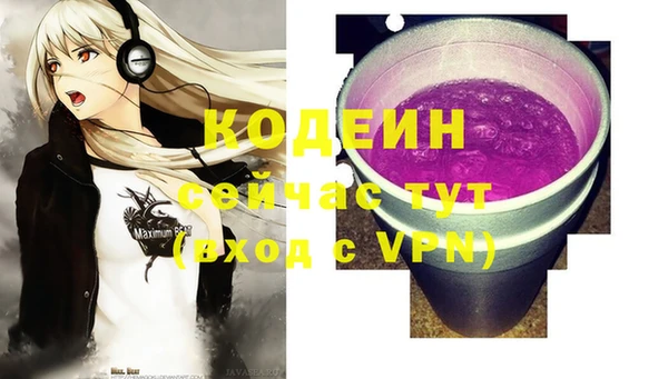 хмурый Алексин