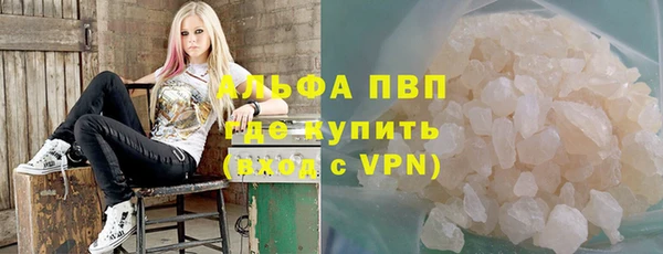 хмурый Алексин